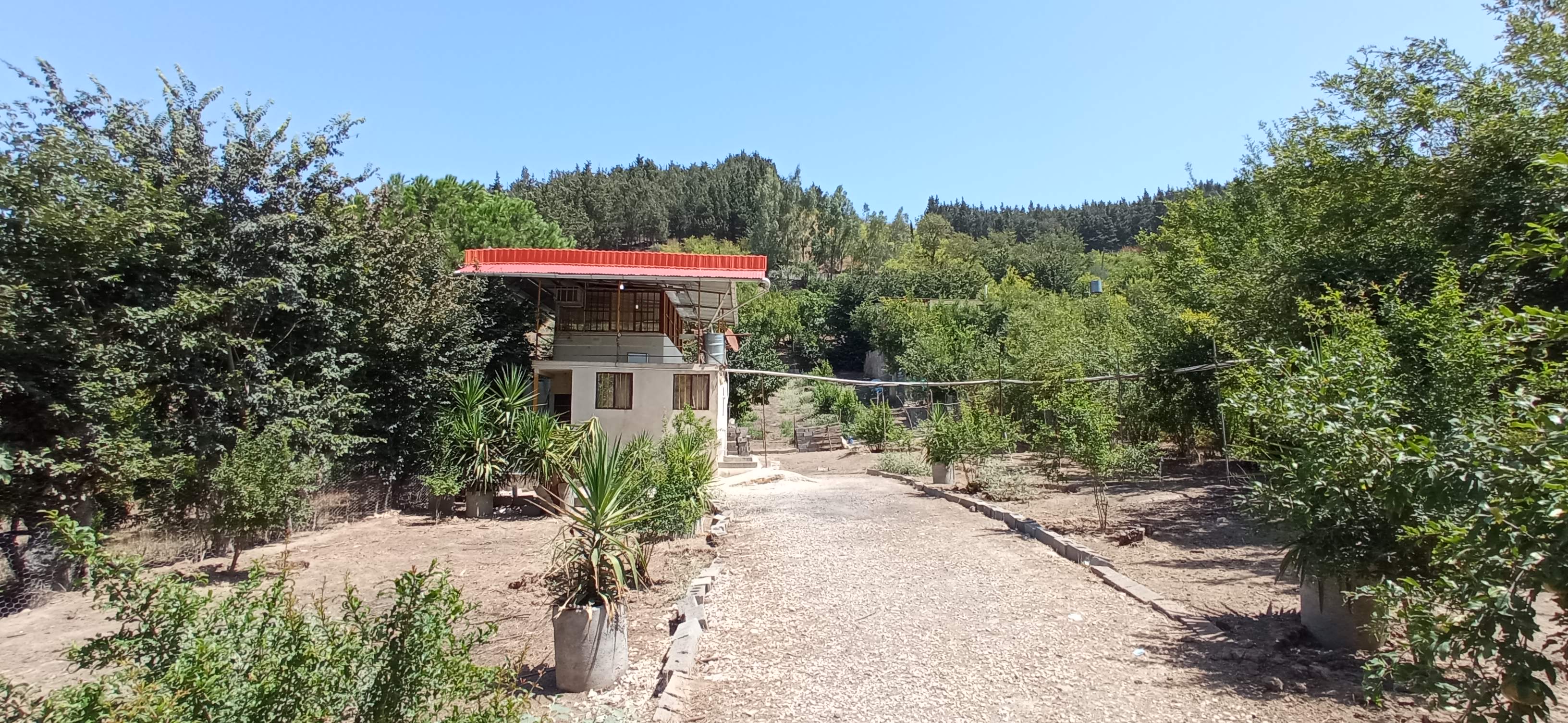 ویلای جنگلی بلوط در بهشهر