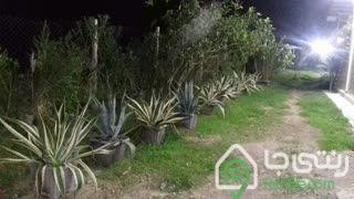 ویلای تک خواب در  فومن