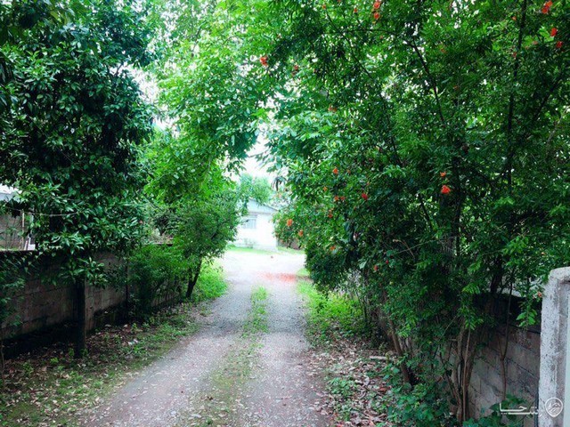 ویلا باغ چهار خوب 