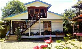 ویلای سه خوابه جنگلی