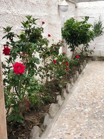 ویلای جنگلی در شیرود 