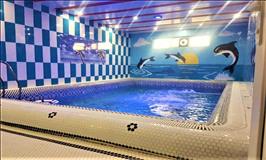 ویلای تریبلکس با استخر