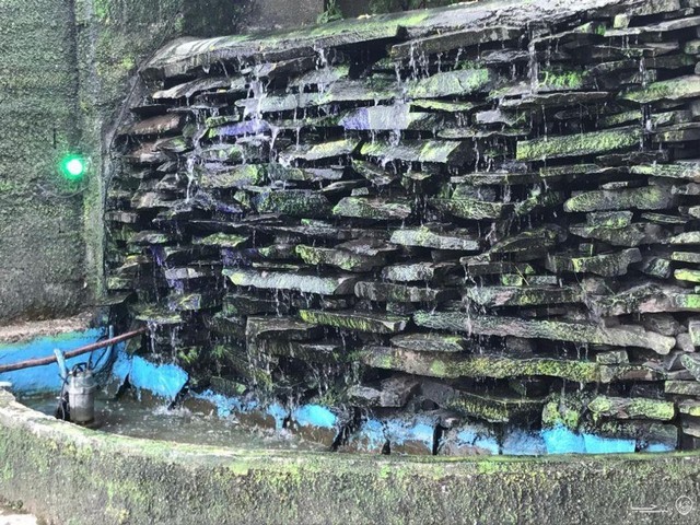 ویلا دوبلکس سه خوابه جنگلی در فومن