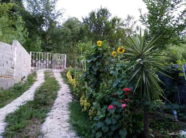 ویلا یک خوابه