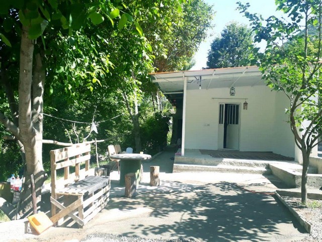 سوئیت جنگلی