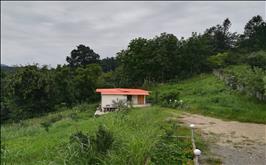 ویلا جنگلی دو خوابه در شیرگاه