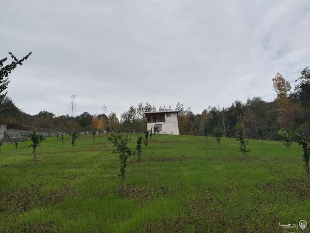 ویلا جنگلی در شیرگاه