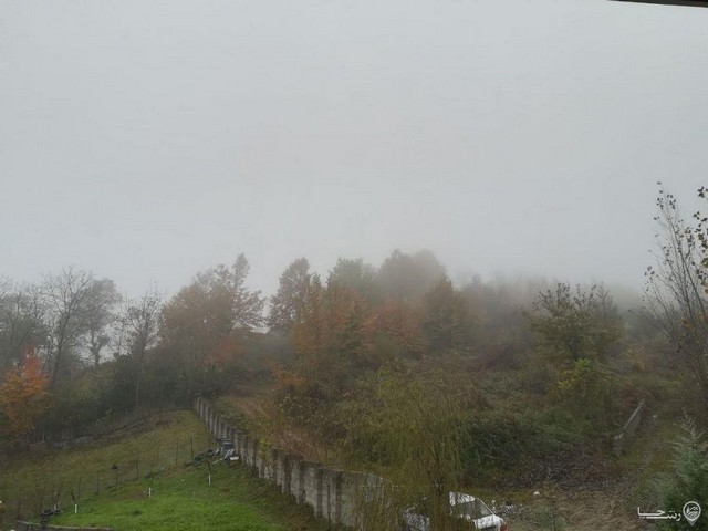 ویلا جنگلی در شیرگاه