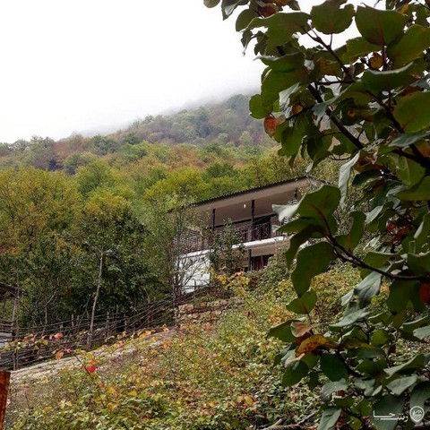 ویلای جنگلی