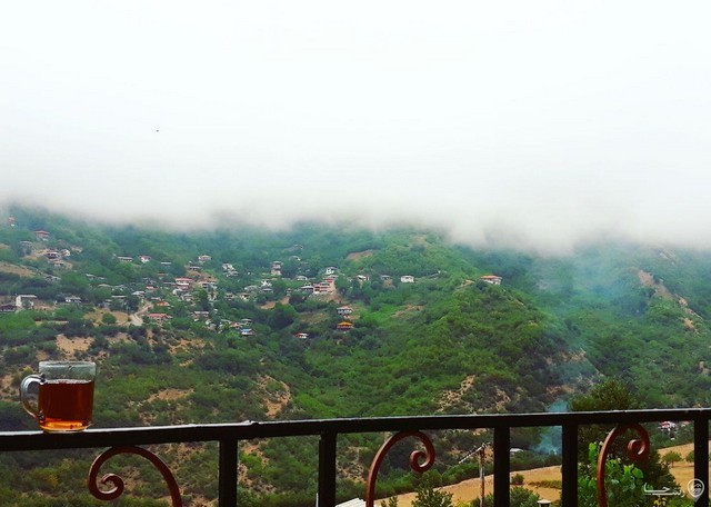 ویلای جنگلی