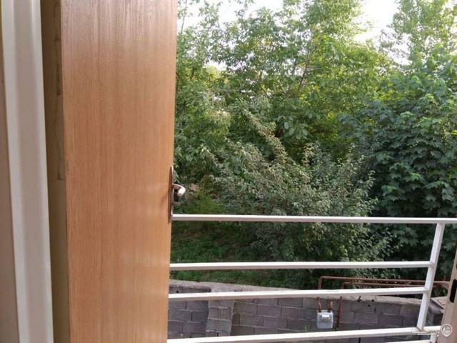 ویلای جنگلی دو خوابه