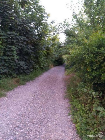 ویلای جنگلی دو خوابه