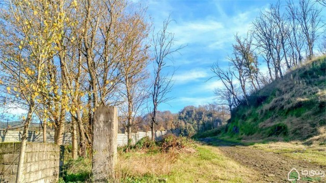 ويلا یک خواب در  لاهیجان