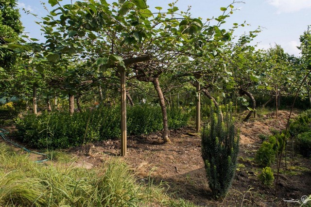 ویلا باغ زیبا در نزدیکی ساحل