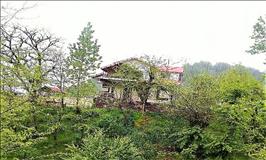 ویلاجنگلی در ماسال