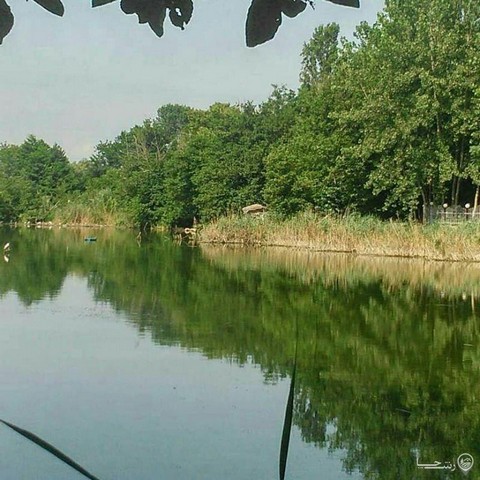 ویلا باغ در انزلی