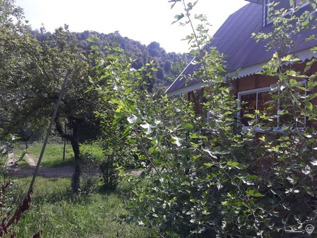 کلبه در ماسال