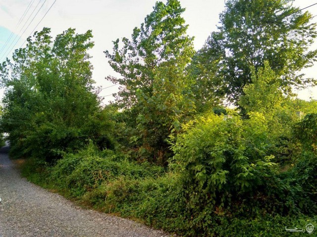 اجاره ویلا در  لاهیجان