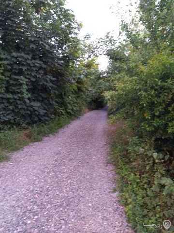 اجاره ویلا در  لاهیجان