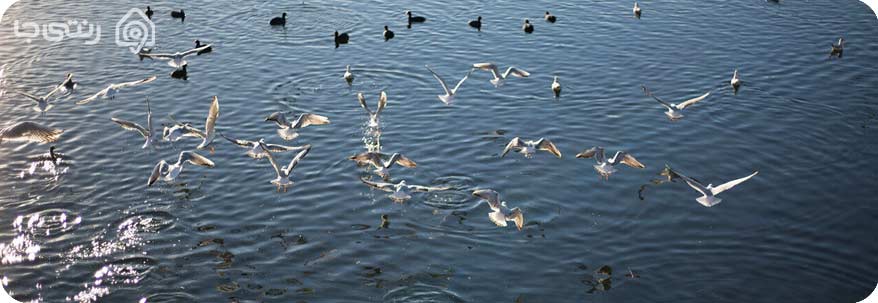 تالاب آلماگل 