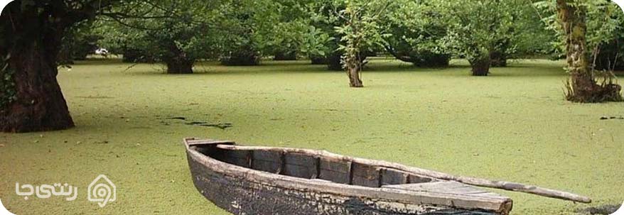 تفریحات در تالاب استیل