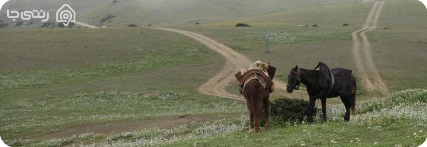 ییلاق گرسماسر