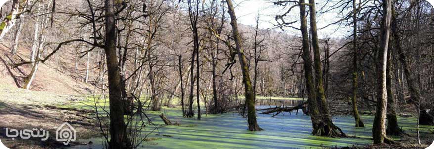 مرداب دریوک