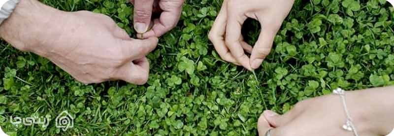 سیزده به در