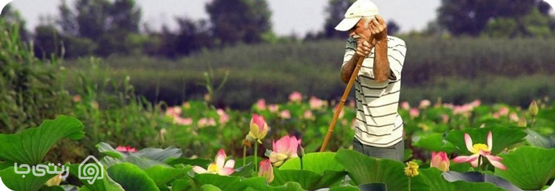 تالاب انزلی