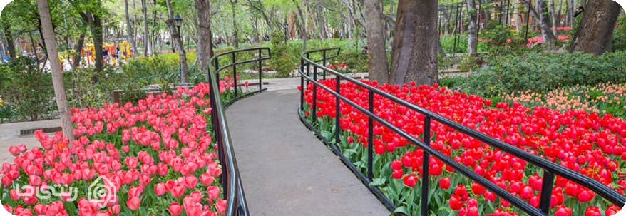 باغ  ایرانی