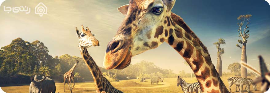 باغ وحش صفا دشت