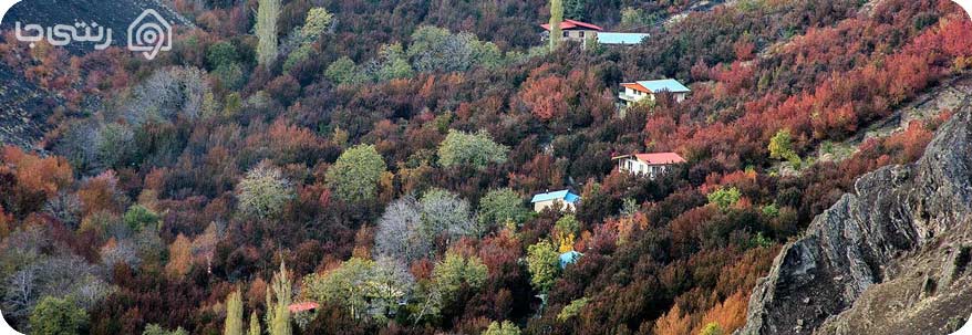 روستا تالون