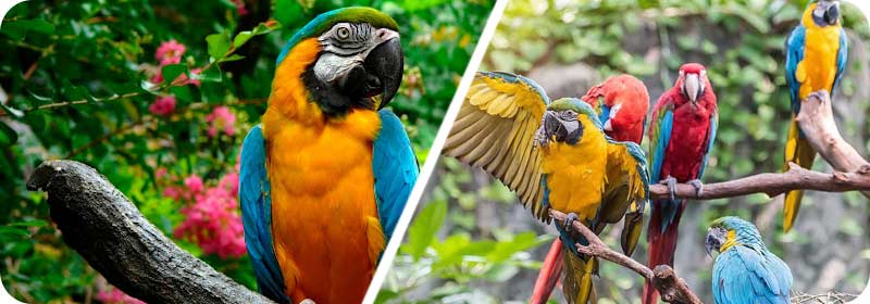 حیوانات باغ وحش مشهد