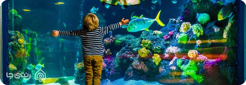 آکواریوم اصفهان