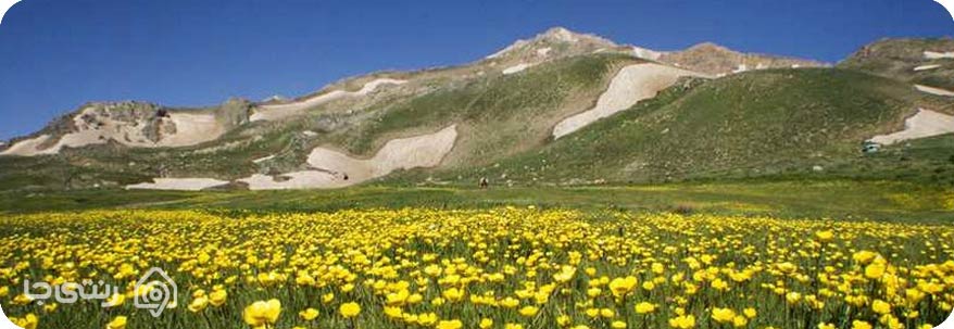 دریاچه دالامپر 