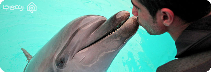 دلفیناریوم برج میلاد