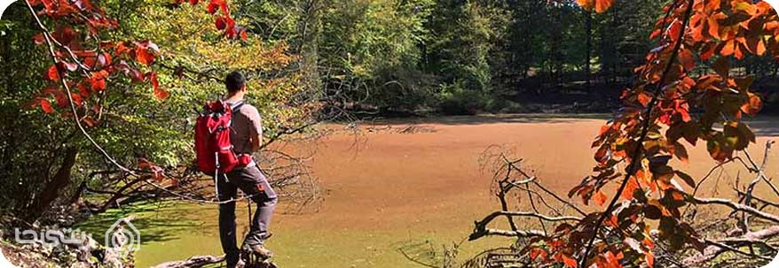 کمپینگ در مرداب هسل