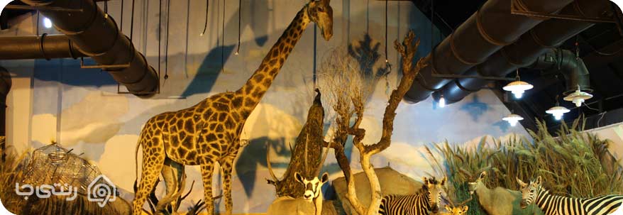 موزه حیات وحش دارآباد