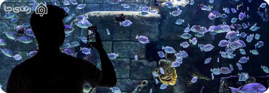آکواریوم انزلی