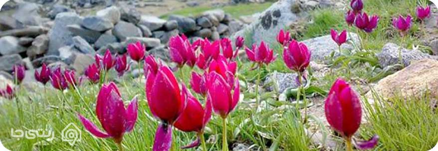 دره گزند و سرابی دره گزند و سرابی