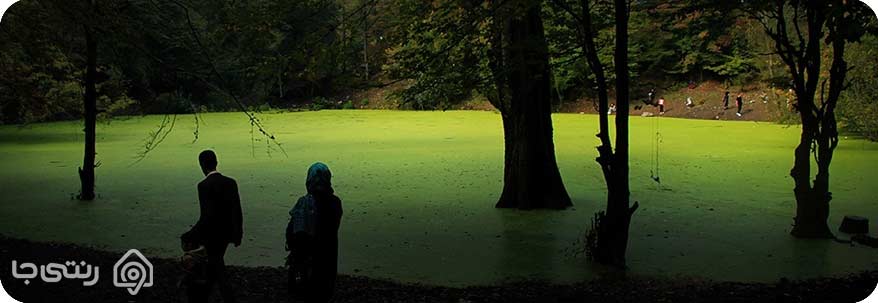 مرداب دریوک