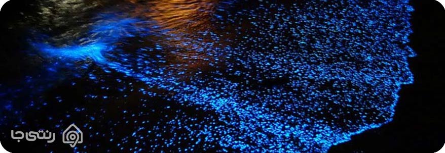 جزیره هنگام