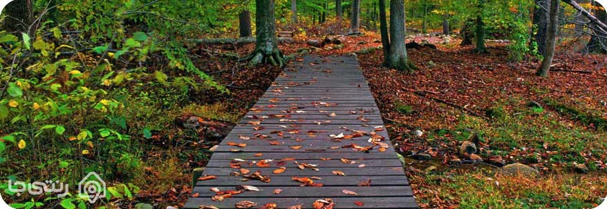 پارک جنگلی گیسوم