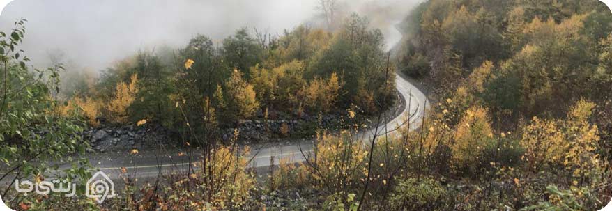 جنگل توسکستان