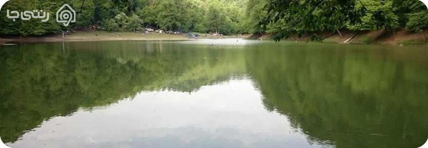 جنگل هزار جریب