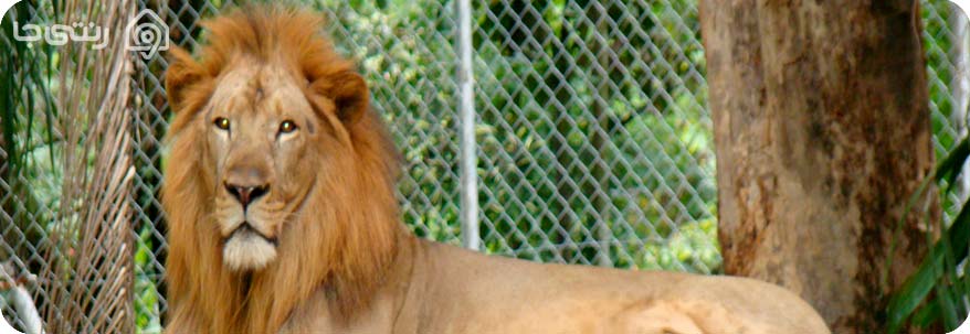 باغ وحش صفا دشت