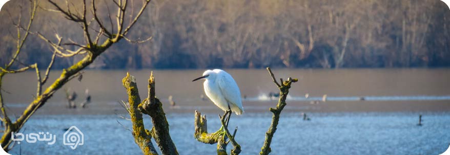 تالاب استیل