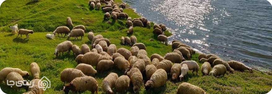 تنگه کافرین