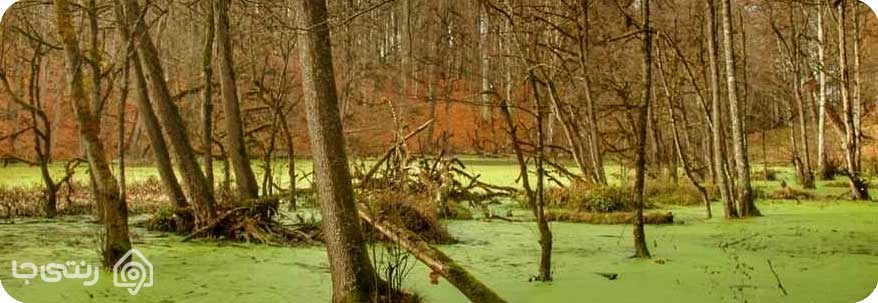 مرداب دریوک