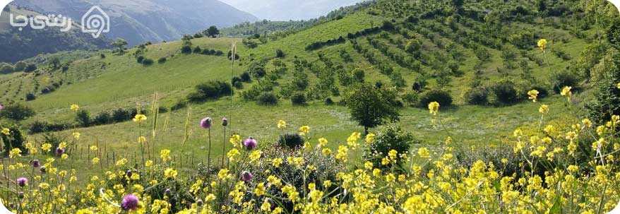 جاذبه های گردشگری املش گیلان
